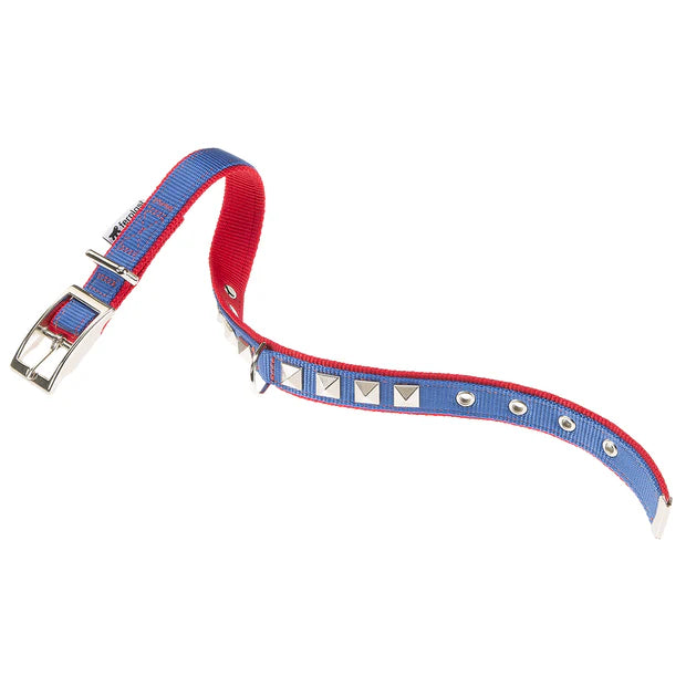 FERPLAST COLLAR DUAL CF