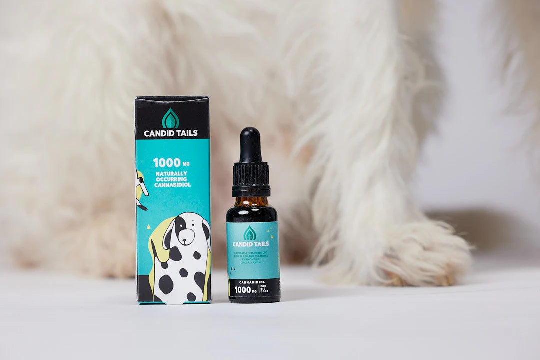CANDID TAILS ACEITE CBD CON CÁÑAMO PARA PERRO GRANDE +25kg 20ML