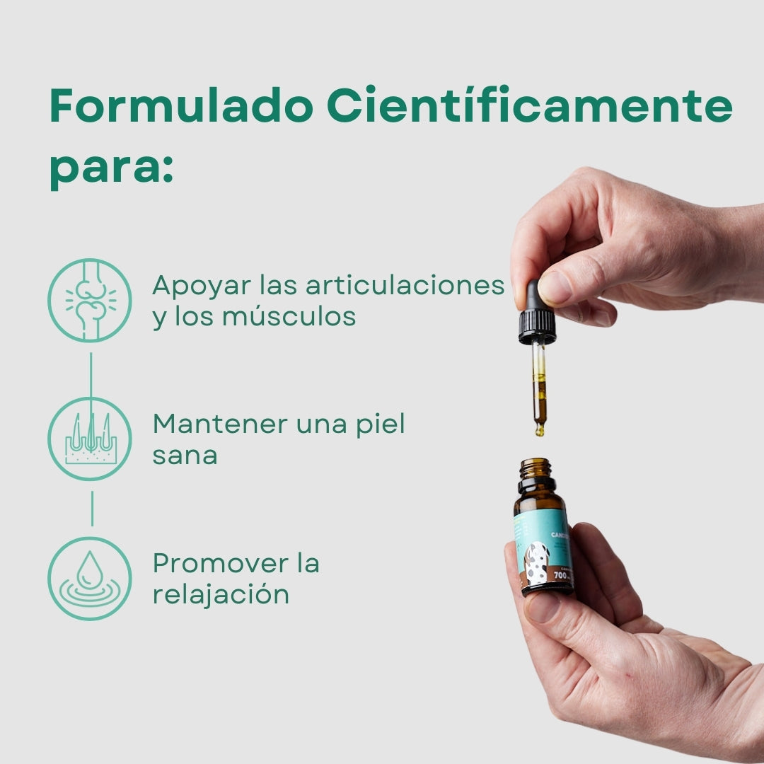 CANDID TAILS ACEITE CBD CON CÁÑAMO PARA PERRO MEDIANO 13-25kg 20ml