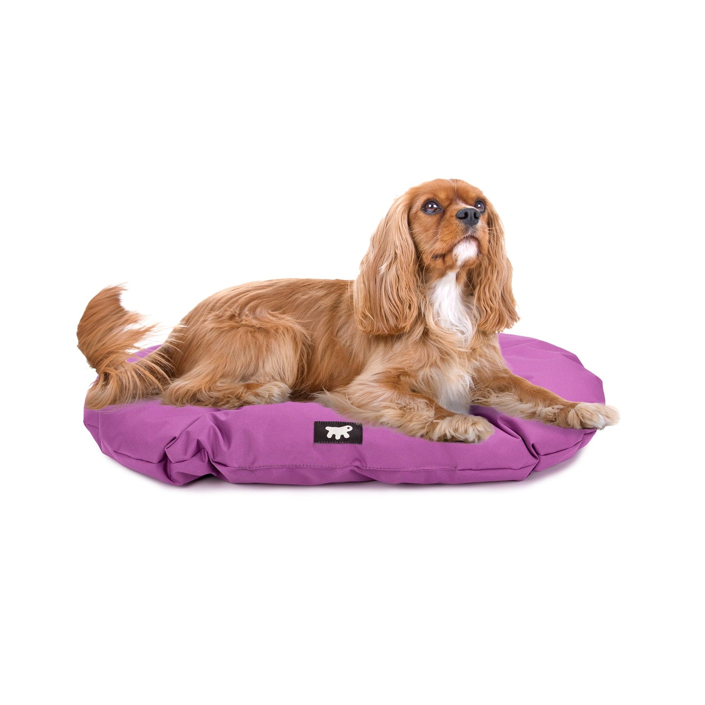 FERPLAST CAMA RELAX TECH 89/10 GRIS