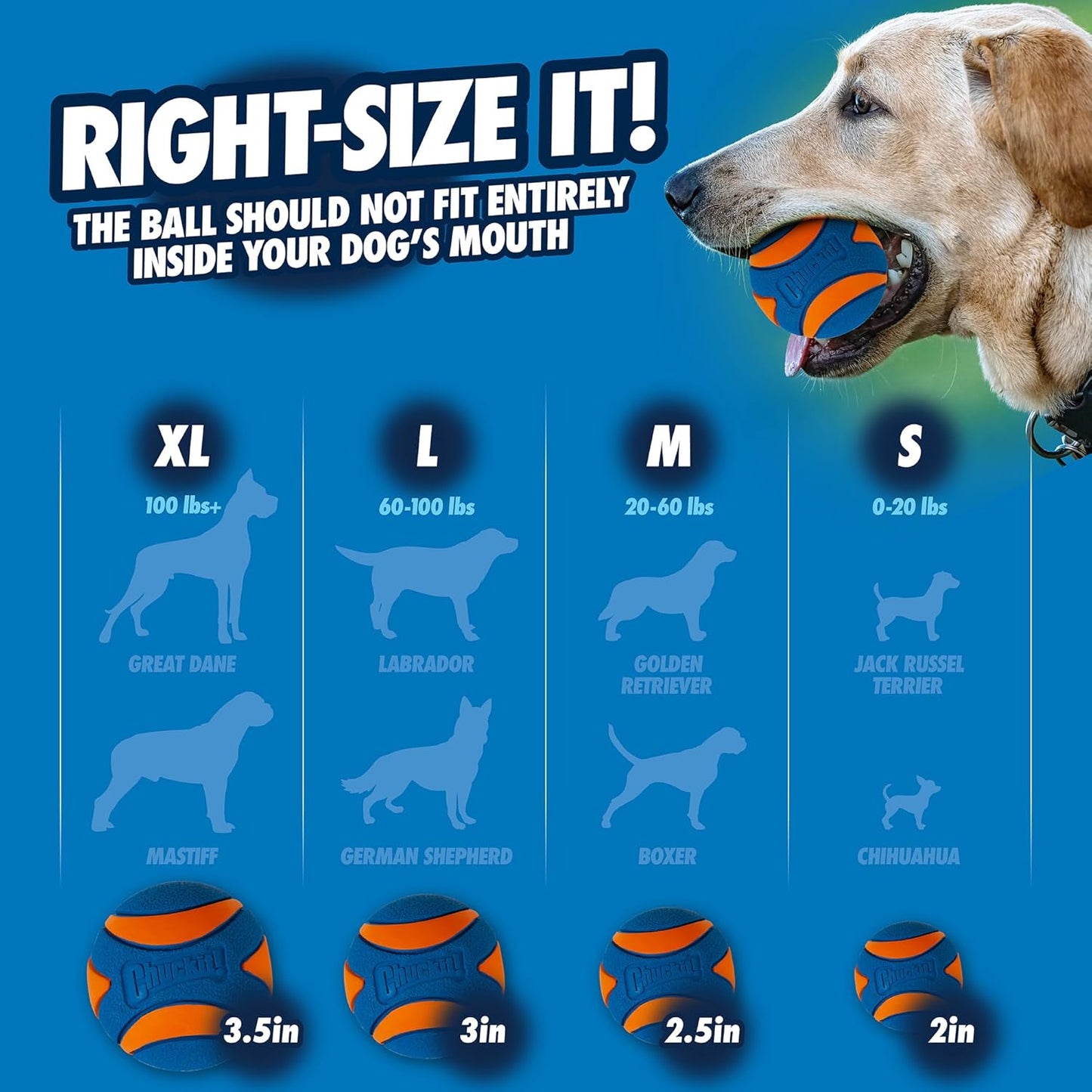CHUCKIT PELOTA SONAJERO SQUEAKER BALL