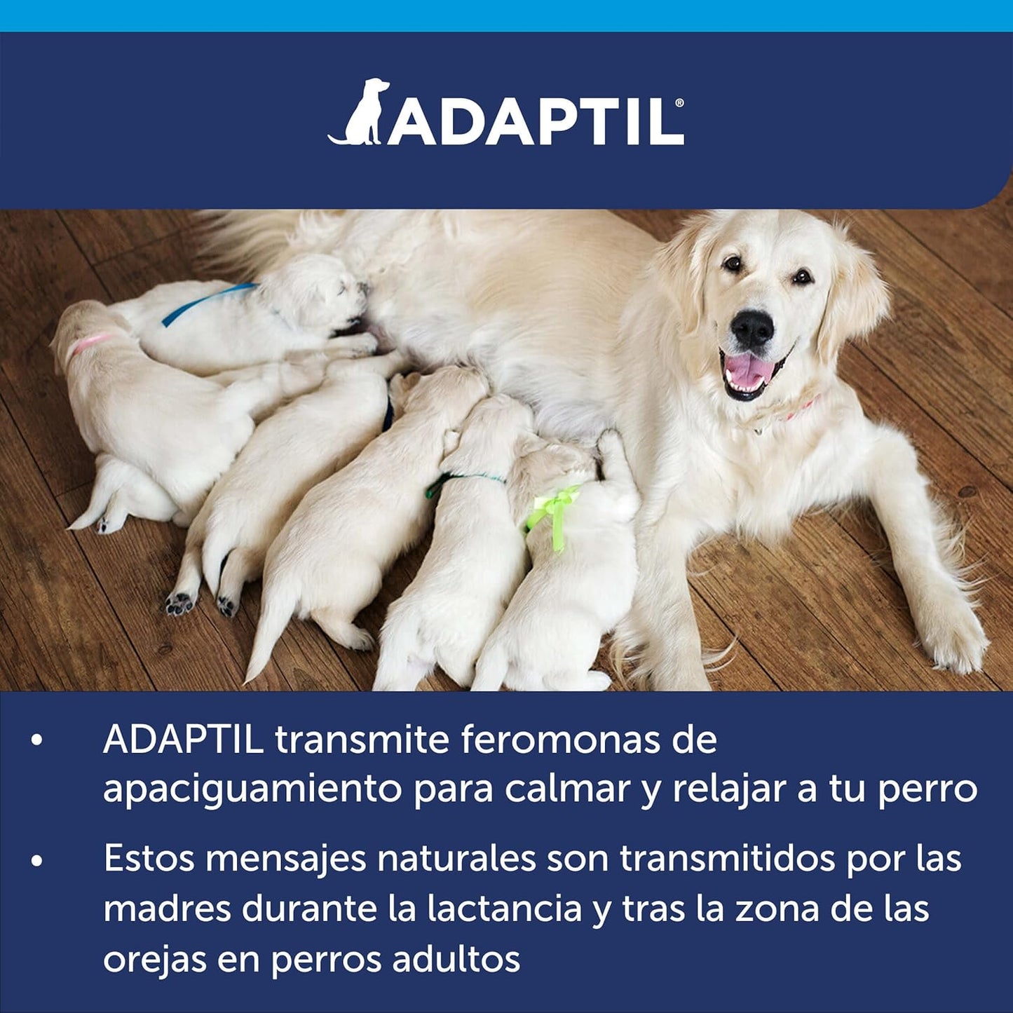 ADAPTIL DIFUSOR + RECAMBIO