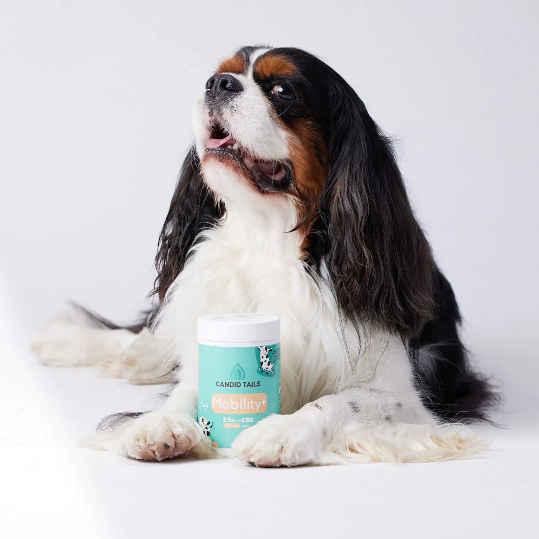 CANDID TAILS MOBILITY SNACKS CON CBD Y CÁÑAMO PARA PERRO 150gr