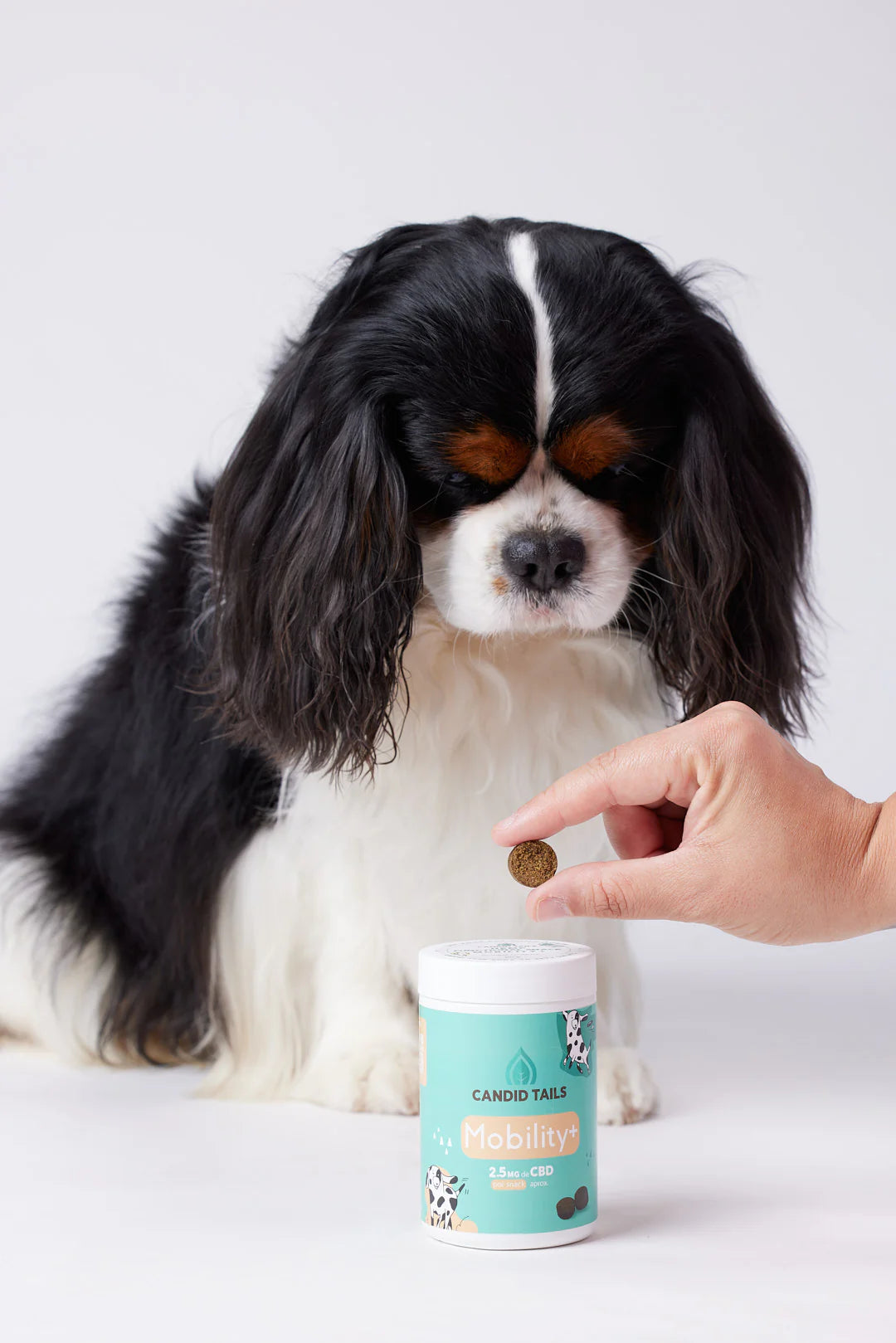 CANDID TAILS MOBILITY SNACKS CON CBD Y CÁÑAMO PARA PERRO 150gr