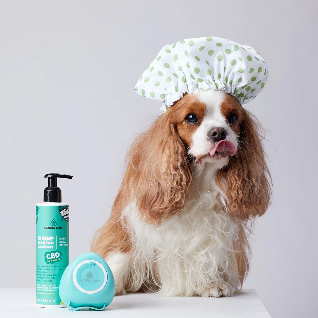 CANDID TAILS CHAMPÚ CON CDB Y CÁÑAMO PARA PERRO 250ml