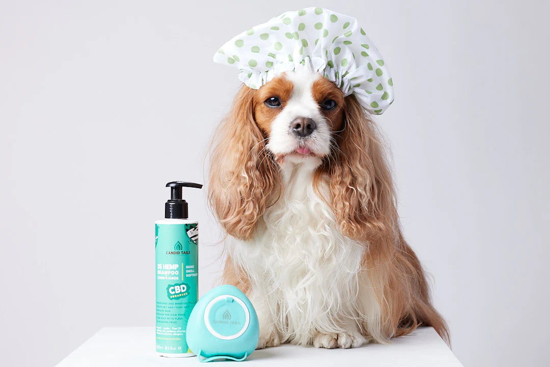 CANDID TAILS CHAMPÚ CON CDB Y CÁÑAMO PARA PERRO 250ml