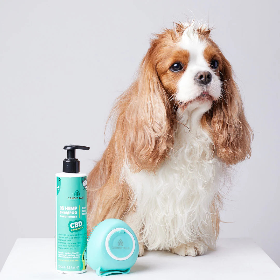 CANDID TAILS CHAMPÚ CON CDB Y CÁÑAMO PARA PERRO 250ml