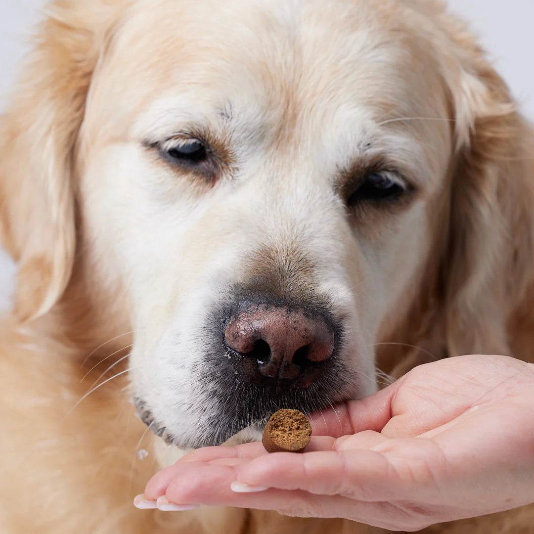 CANDID TAILS MOBILITY SNACKS CON CBD Y CÁÑAMO PARA PERRO 150gr
