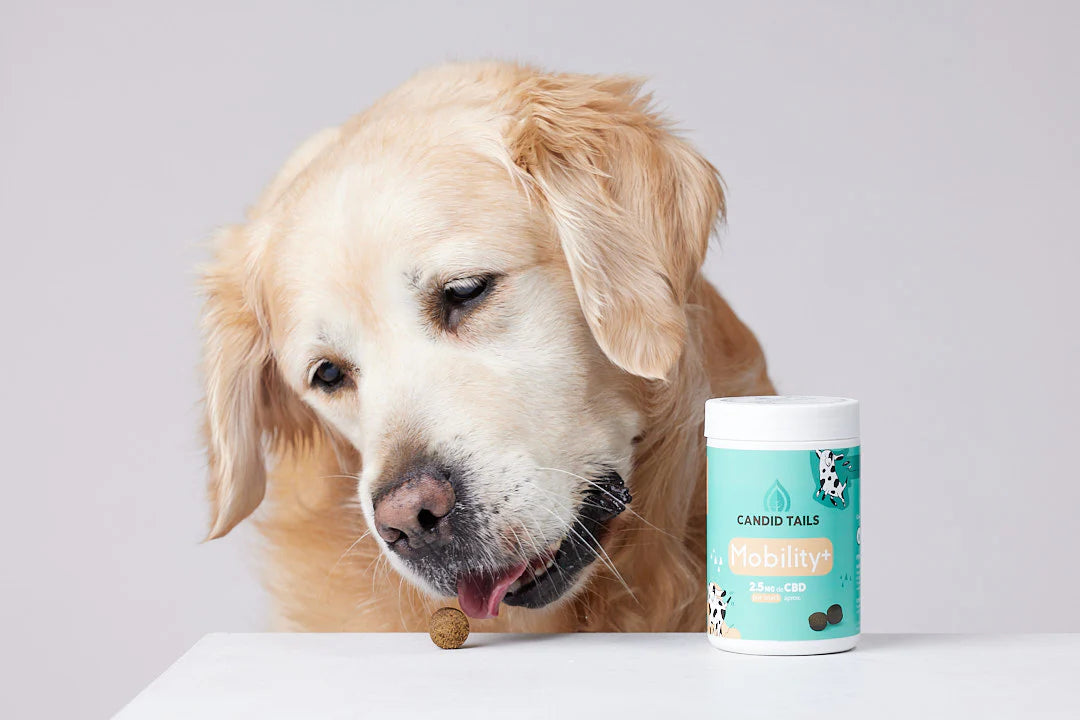 CANDID TAILS MOBILITY SNACKS CON CBD Y CÁÑAMO PARA PERRO 150gr