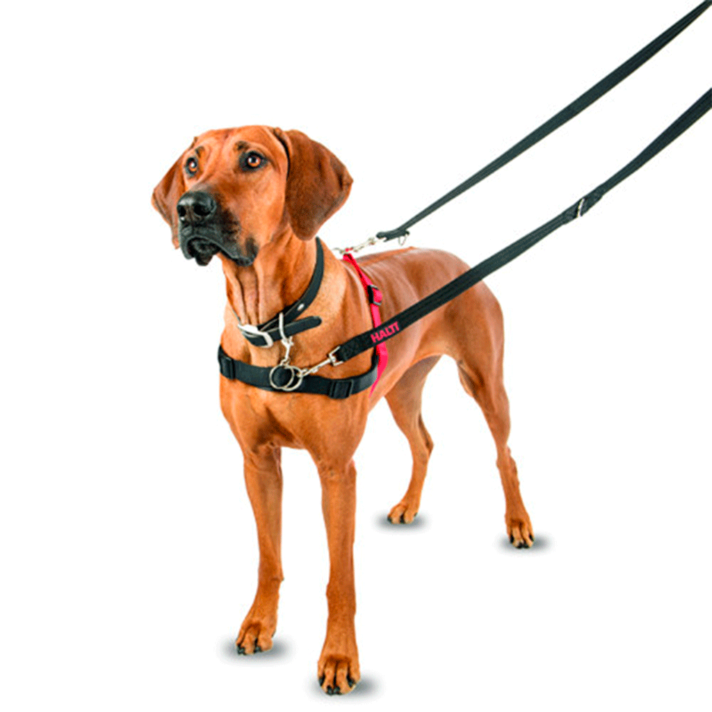 Halti Harness - Arnés de adiestramiento para perros