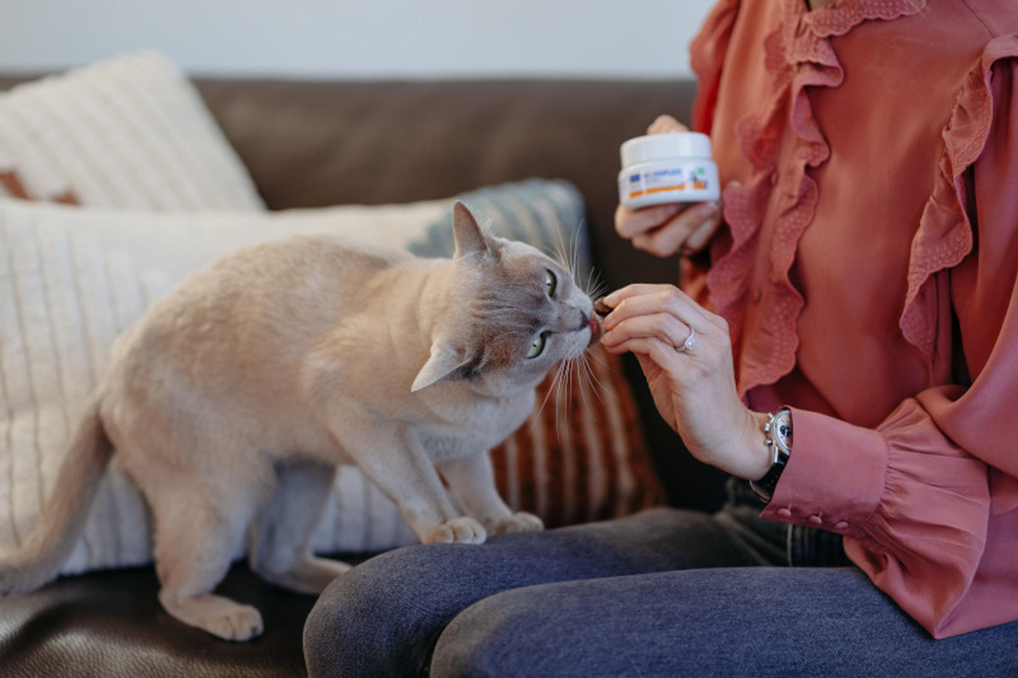 MOVOFLEX GATO 30 CHEWS
