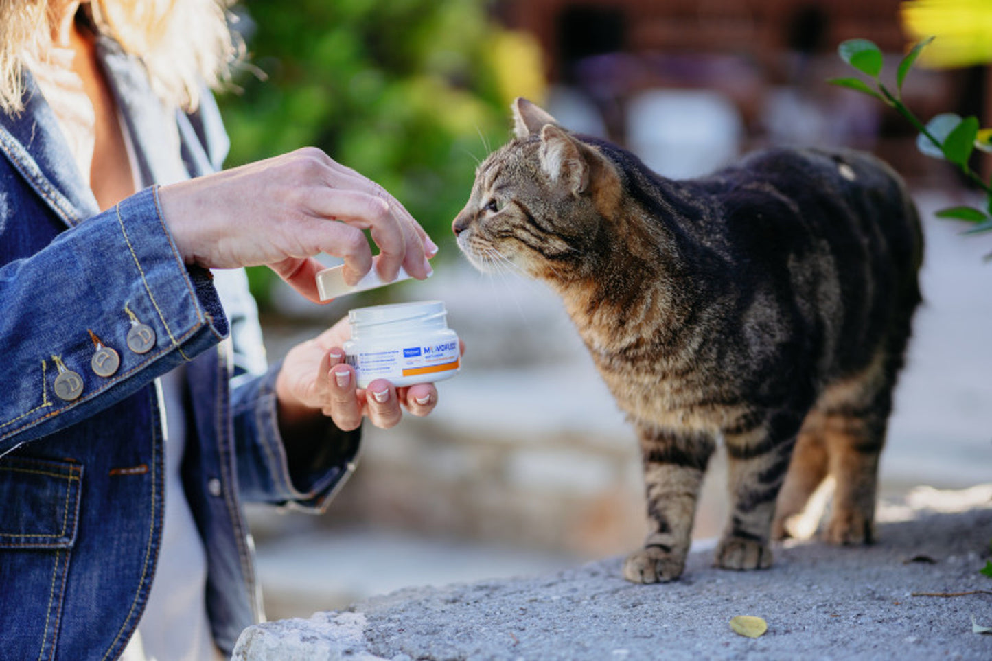 MOVOFLEX GATO 30 CHEWS
