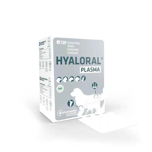 HYALORAL PLASMA 120CPD / 360 CDP