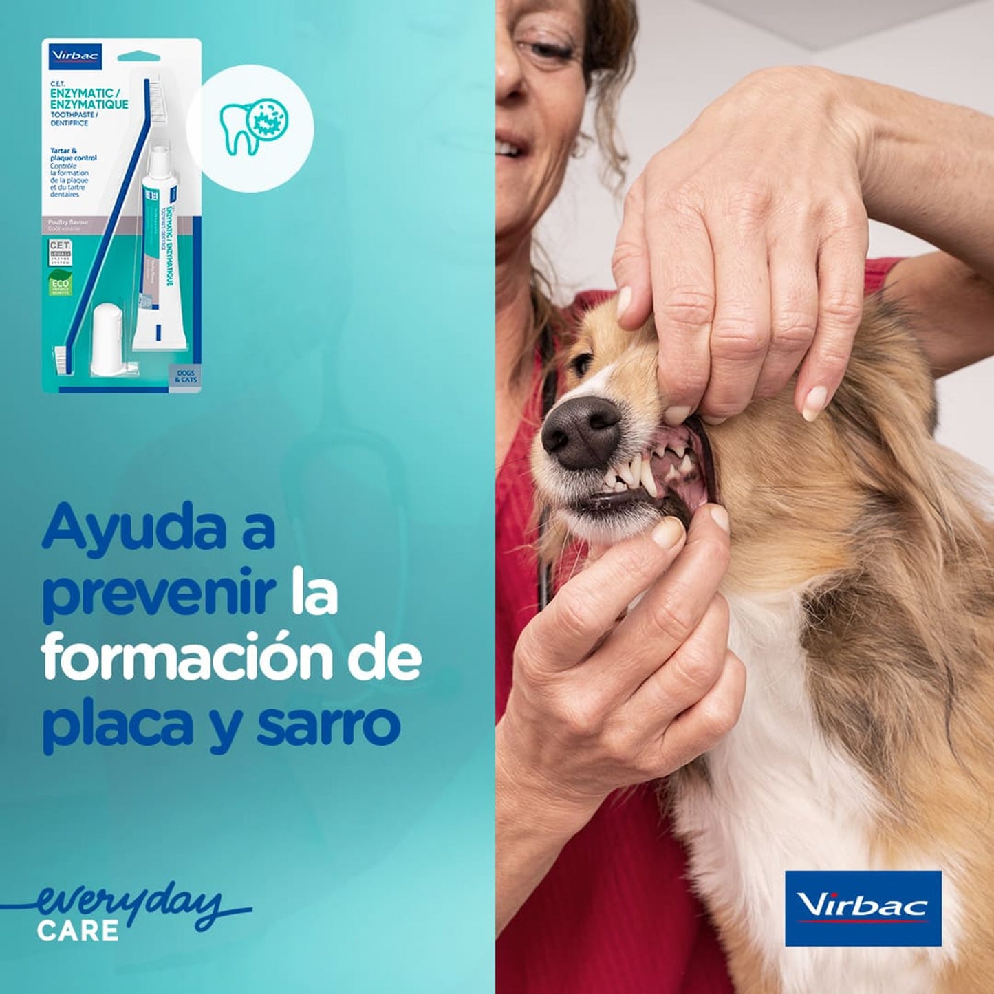 CET KIT CEPILLO + DENTIFRICO ENZIMATICO 70GR