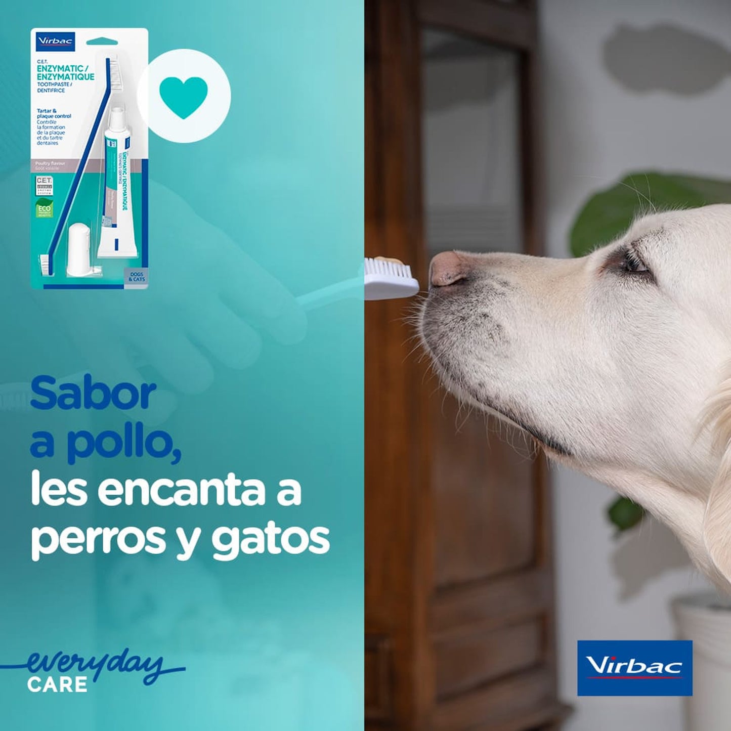 CET KIT CEPILLO + DENTIFRICO ENZIMATICO 70GR