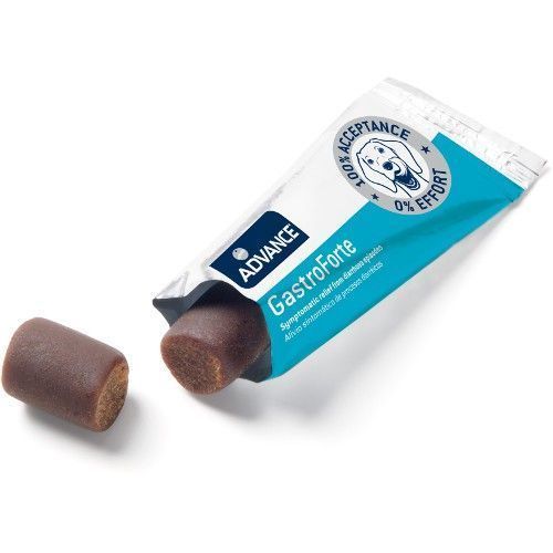 ADVANCE VET CANINE ADULT GASTRO FORTE