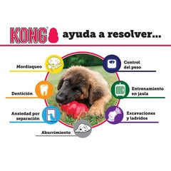 KONG EXTREME