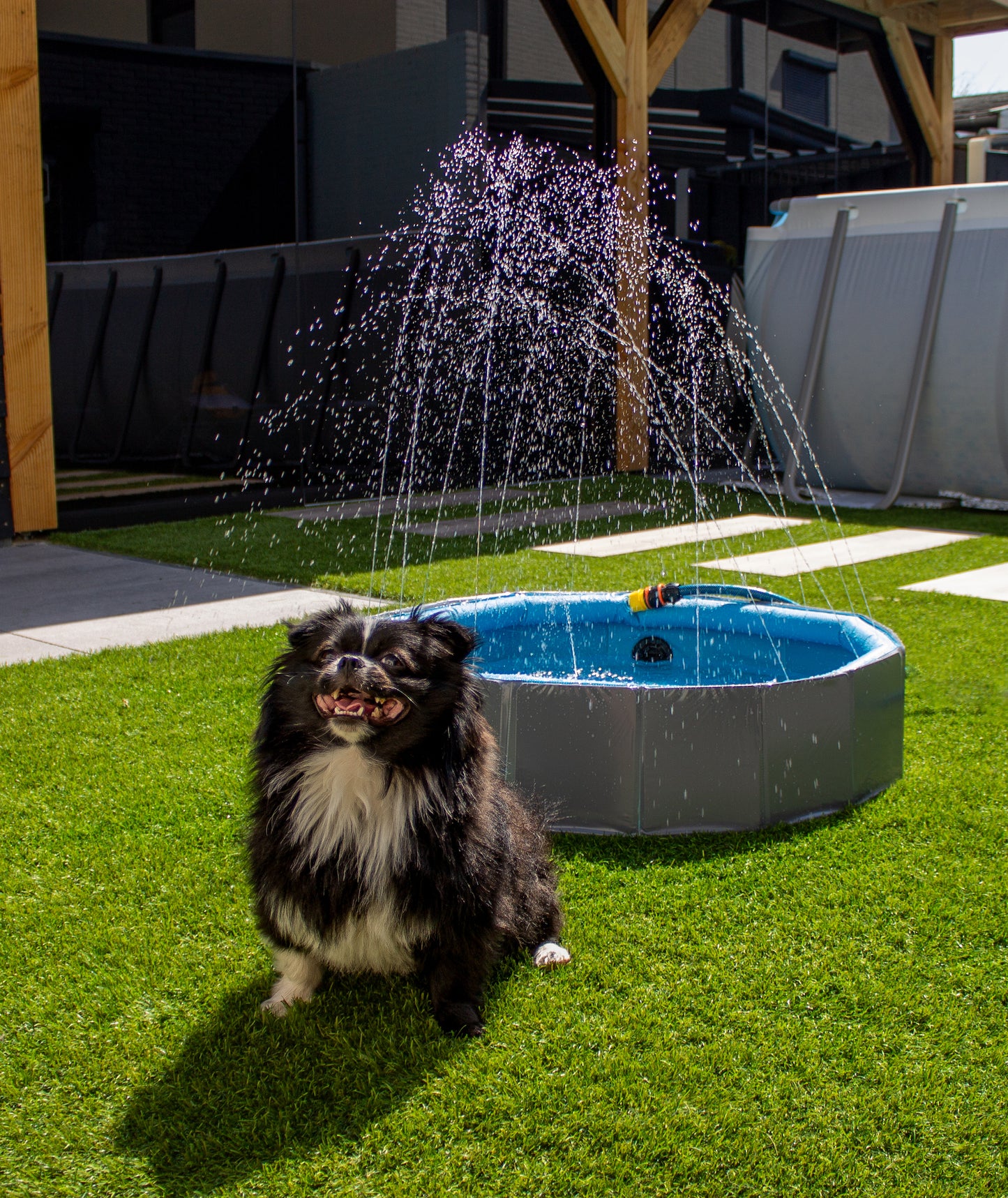 FLAMINGO DOG POOL SPRINKLE BLUE AND GREY