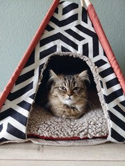 BEEZTEES TIPI PARA GATOS - VIGO NEGRO / BLANCO