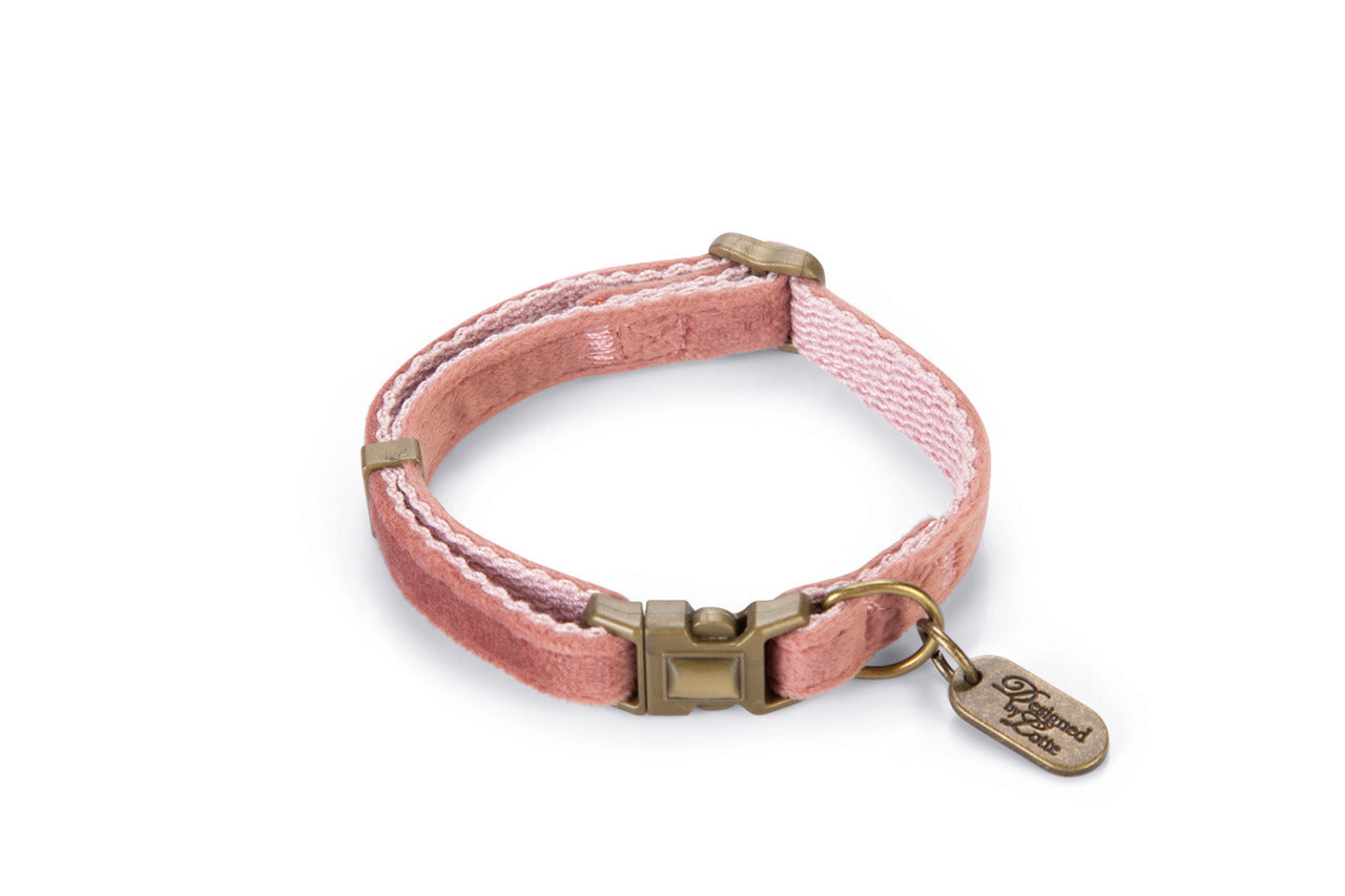 COLLAR PARA PERRO DESIGNED BY LOTTE VELURA