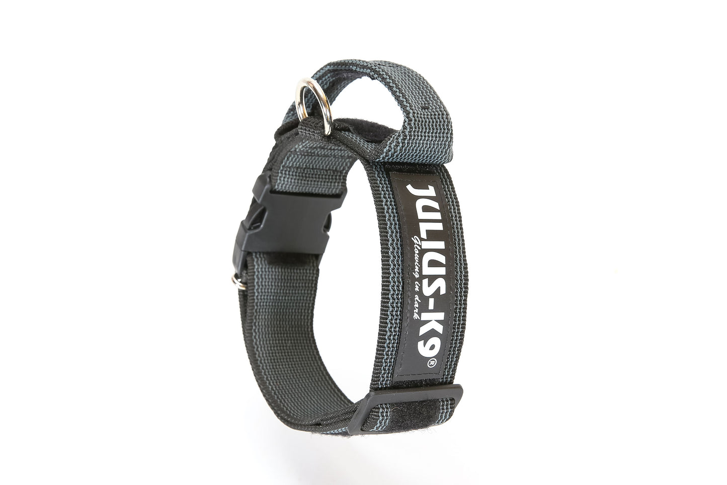COLLAR JULIUS K9 COLOR&GRAY® CON ASA (50mm)