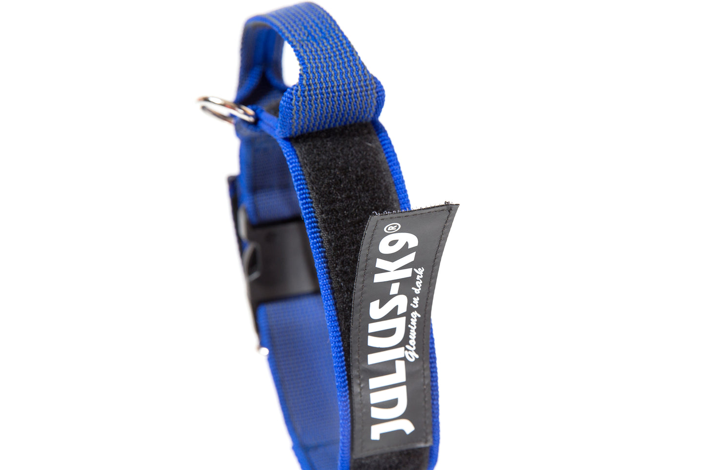 COLLAR JULIUS K9 COLOR&GRAY® CON ASA (50mm)