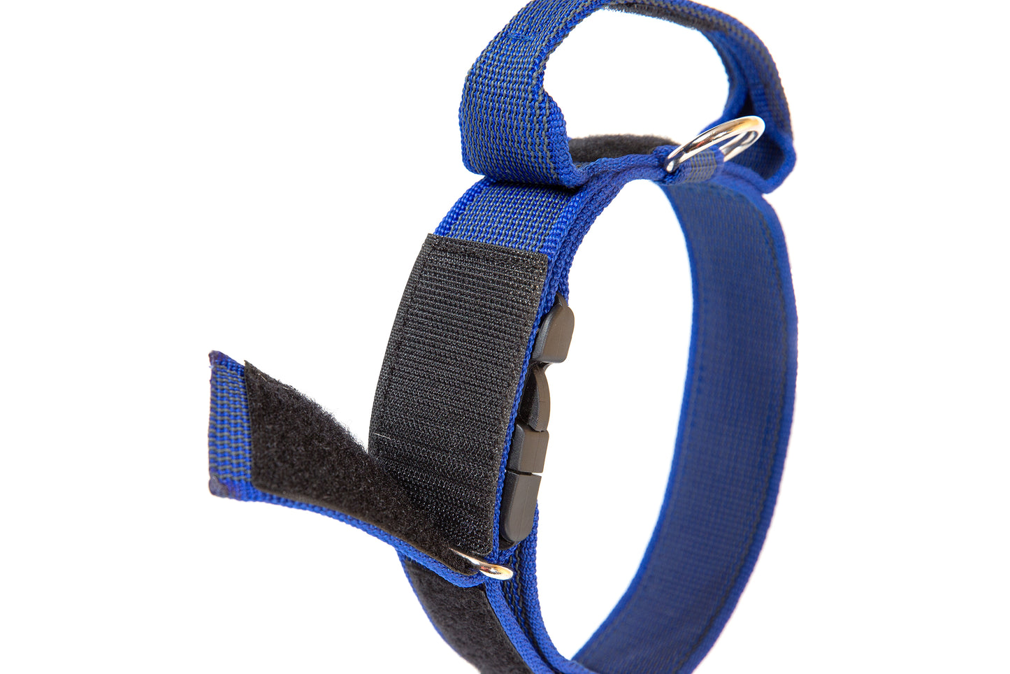COLLAR JULIUS K9 COLOR&GRAY® CON ASA (50mm)