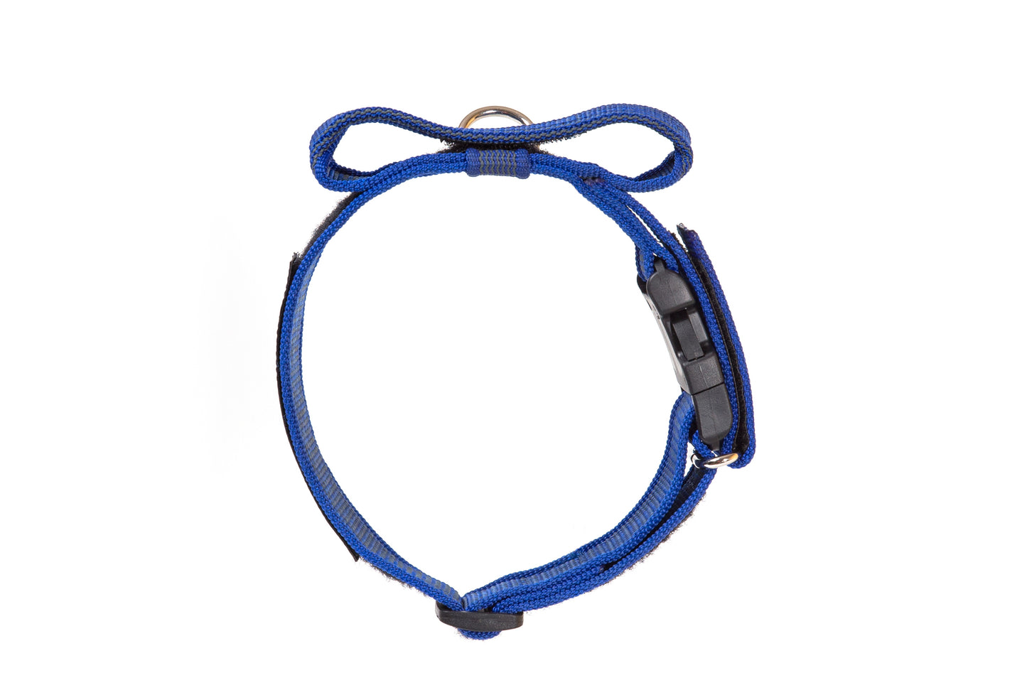 COLLAR JULIUS K9 COLOR&GRAY® CON ASA (50mm)