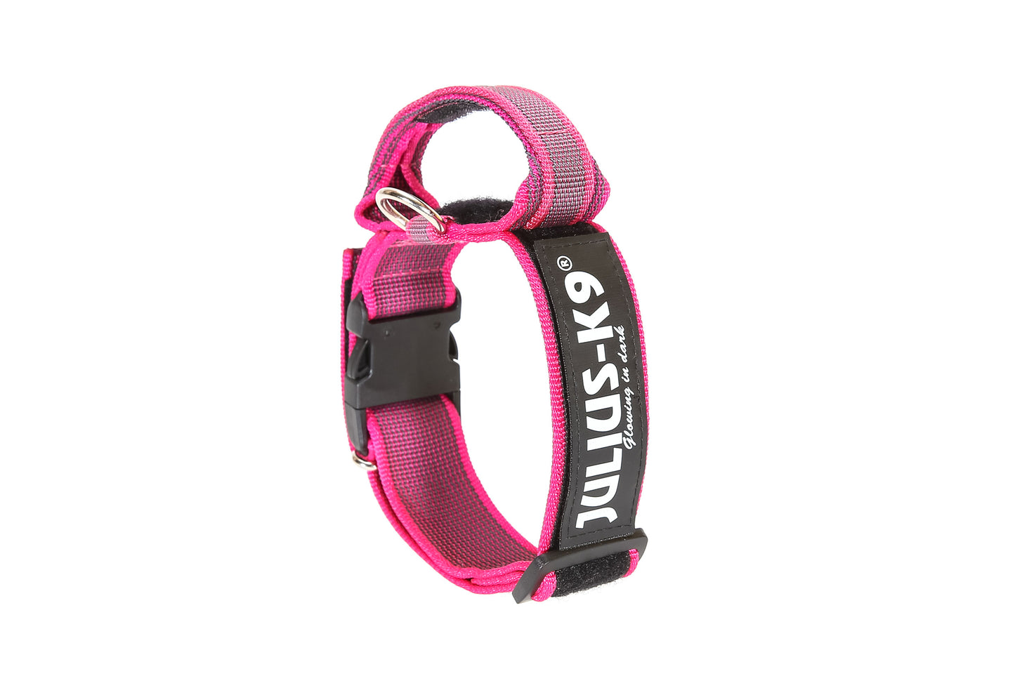 COLLAR JULIUS K9 COLOR&GRAY® CON ASA (50mm)