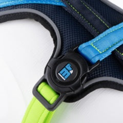 MYFAMILY MEMOPET HARNESS - GREEN AND BLUE