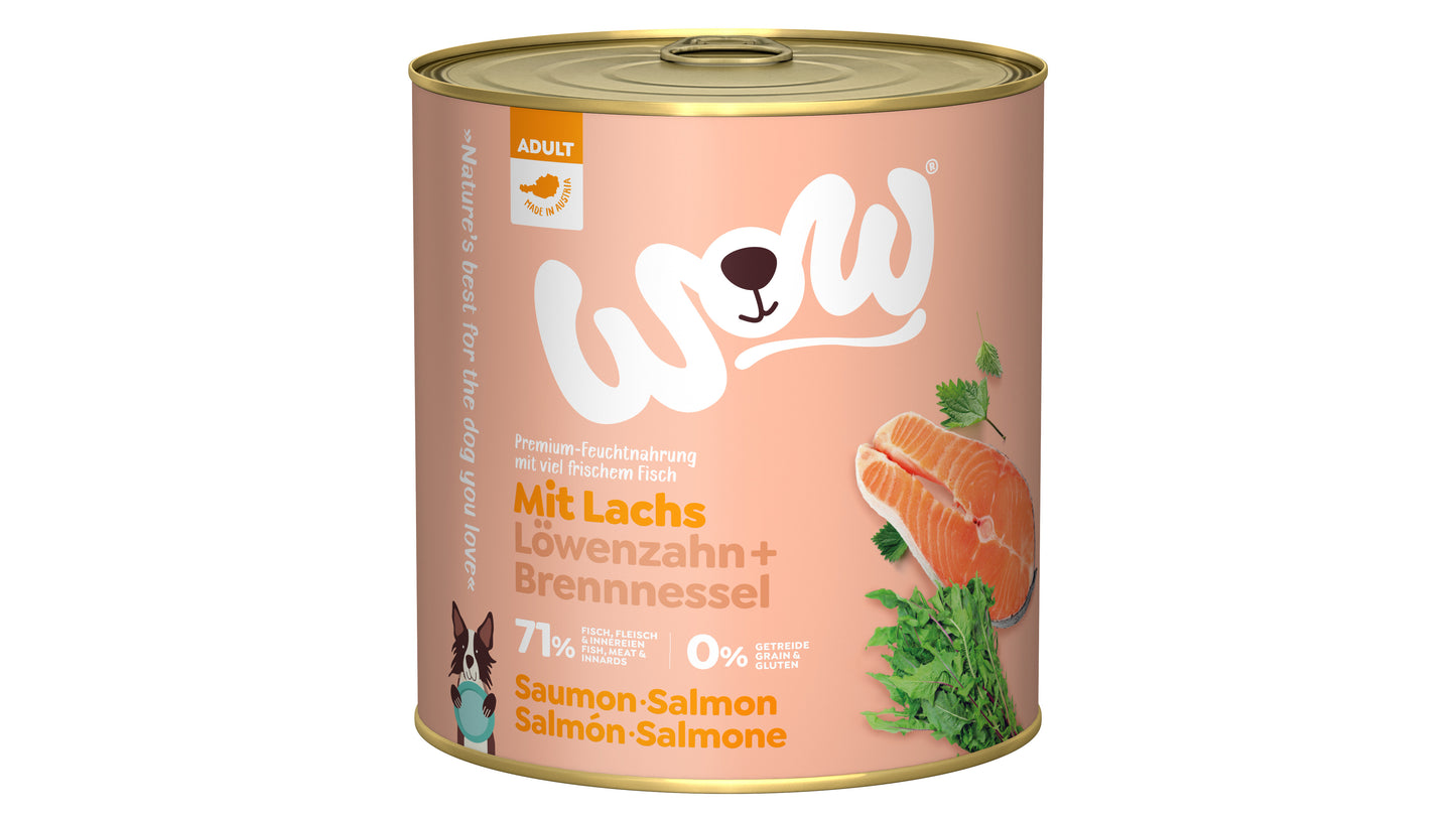 WOW ALIMENTO HÚMEDO DE SALMÓN CON DIENTE DE LEÓN PARA PERRO ADULTO