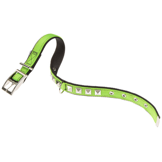 FERPLAST COLLAR DUAL CF