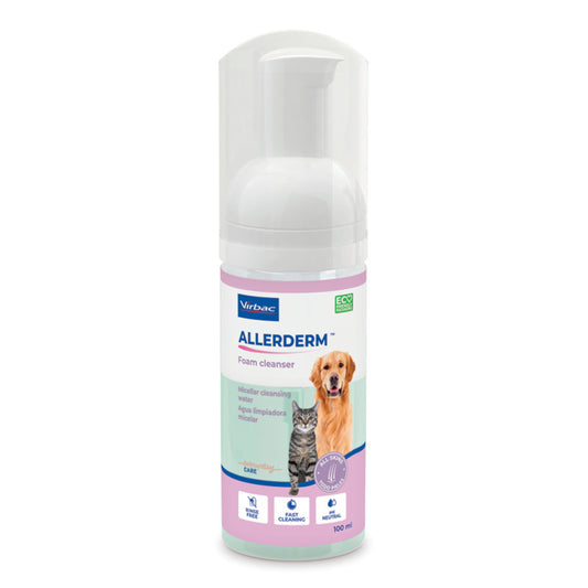 ALLERDERM FOAM 100ML