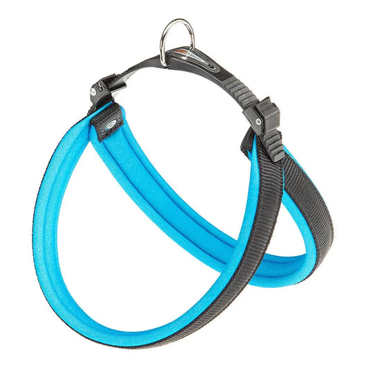 FERPLAST ARNES AGILA FLUO 3 AZUL