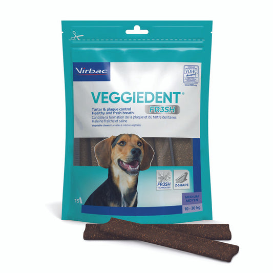 VEGGIEDENT FRESH