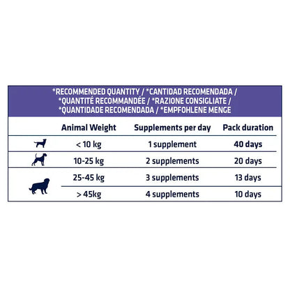 ADVANCE VET CANINE ADULT ARTICULAR FORTE 200GR (NDR)