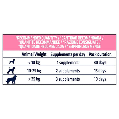 ADVANCE VET CANINE ADULT DERMA FORTE
