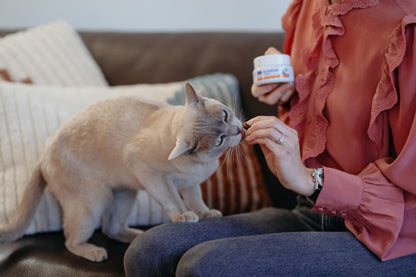MOVOFLEX GATO 30 CHEWS
