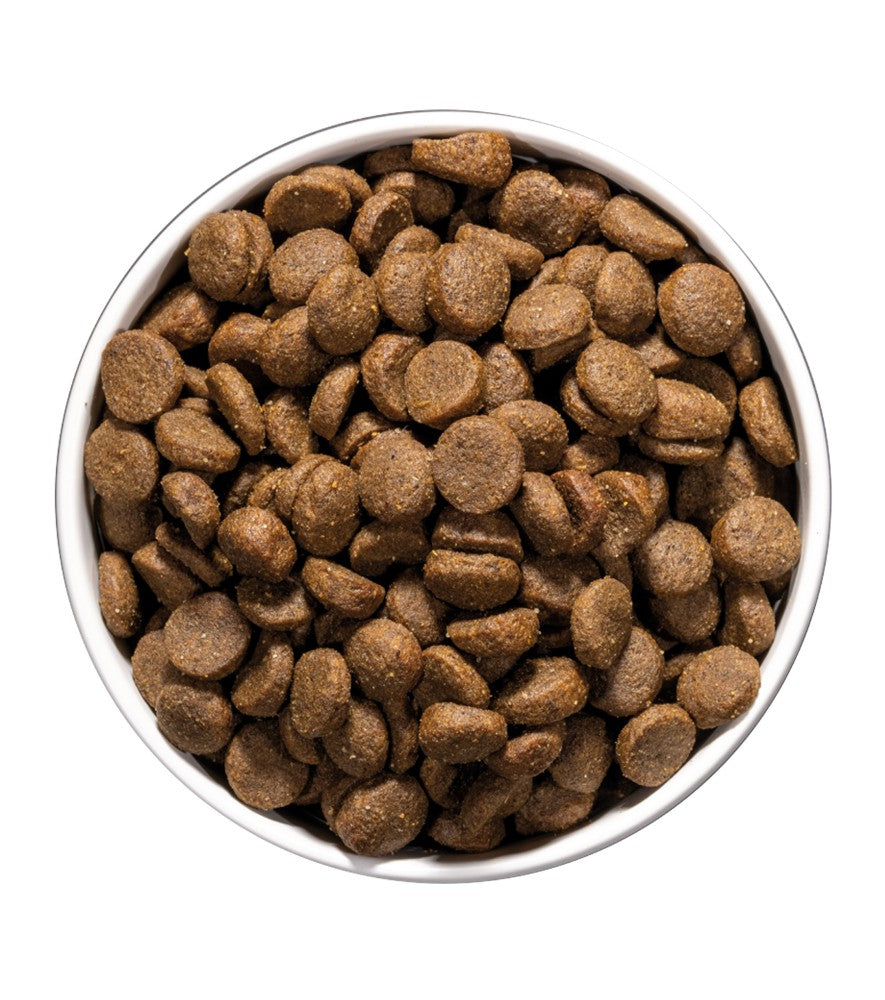OWNAT CARE DERMATOLOGIC CANINE 10KG