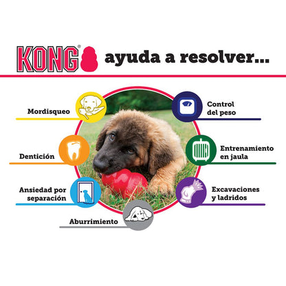 KONG CLASSIC