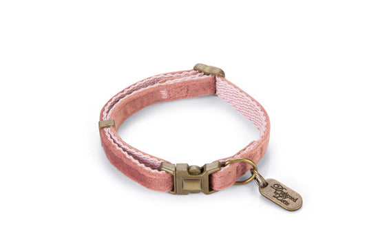 COLLAR PARA PERRO DESIGNED BY LOTTE VELURA