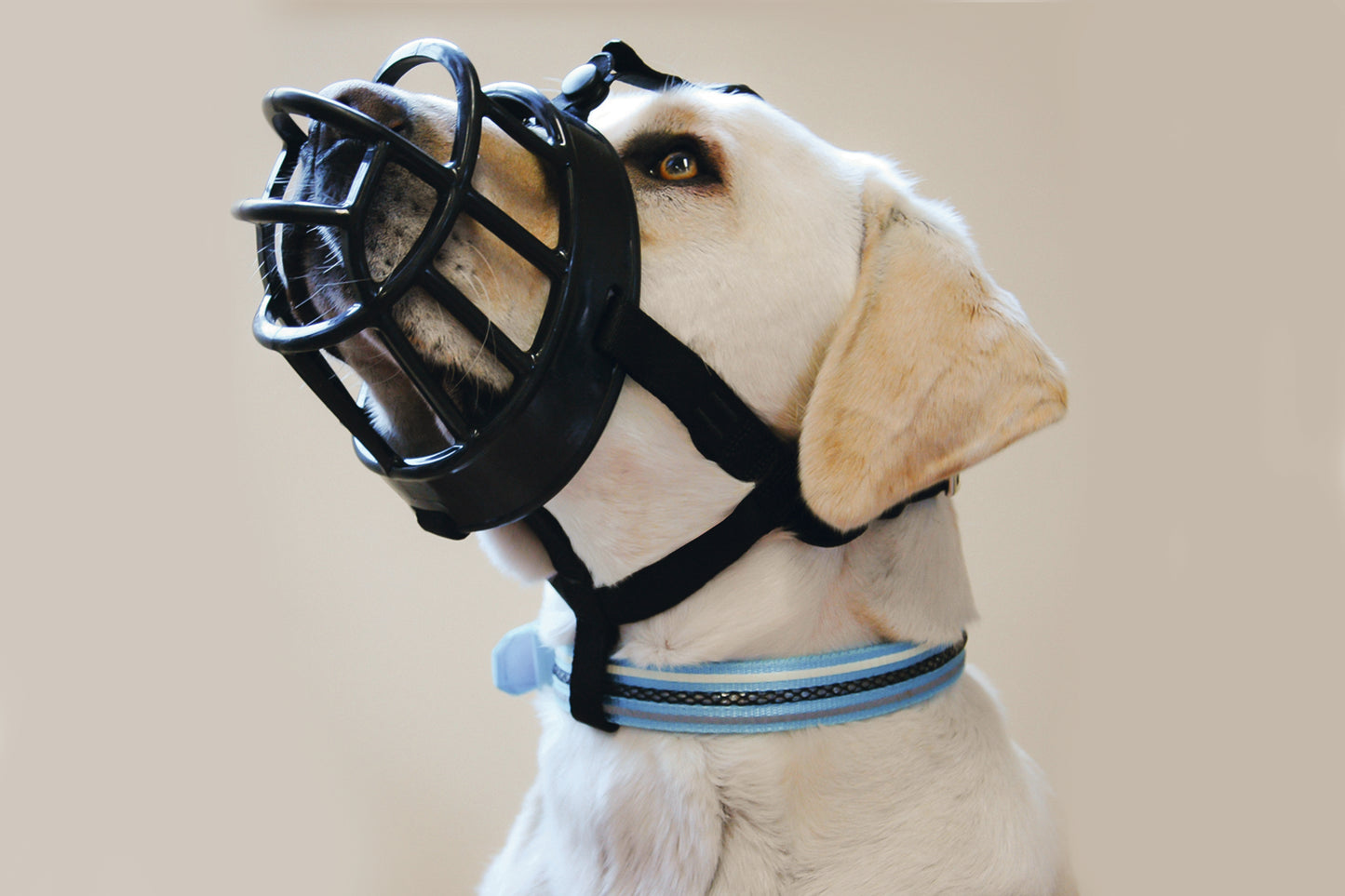 BEEZTEES BOZAL DE TPR BASKERVILLE SAFETY MUZZLE