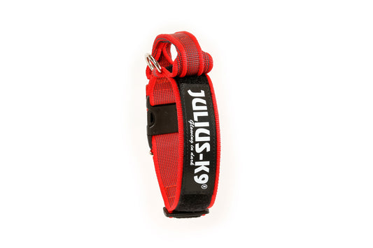 COLLAR JULIUS K9 COLOR&GRAY® CON ASA (50mm)