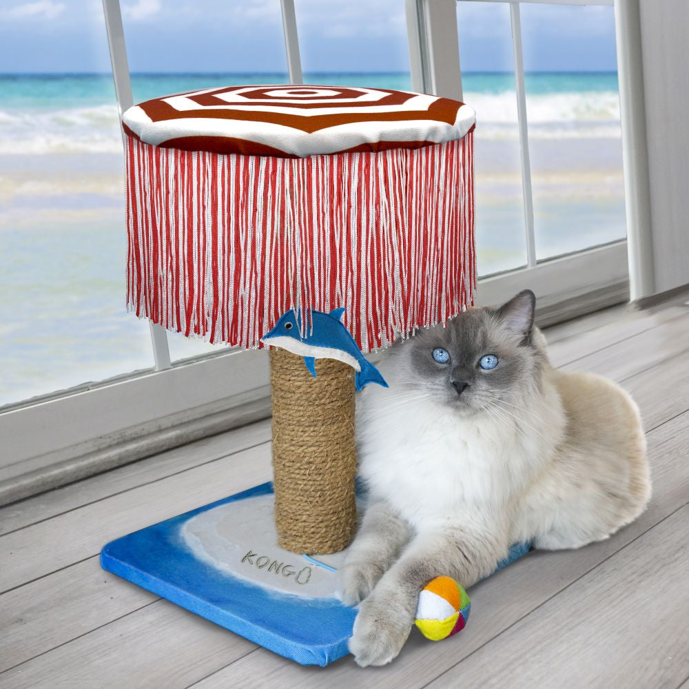 KONG CAT PLAY SPACES CATBANA