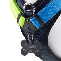 MYFAMILY MEMOPET HARNESS - GREEN AND BLUE